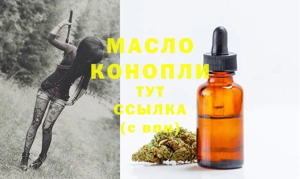 твердый Краснослободск