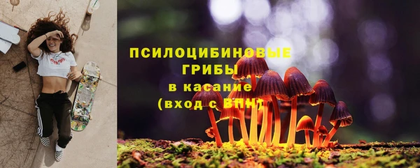 PSILOCYBIN Лабытнанги