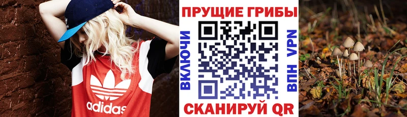 Псилоцибиновые грибы прущие грибы  МЕГА   Льгов 